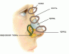 post-2-0-36865600-1421599410_thumb.gif