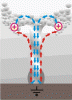 post-2-0-32951700-1487070321_thumb.gif