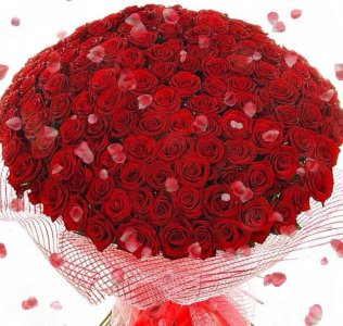 IMG-20171211-WA0000.jpg