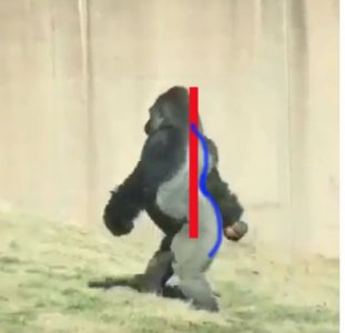 5ab1887078f8d_1Capture.thumb.JPG.861bc3a8479f40c527fafbb81233c0d1.JPG