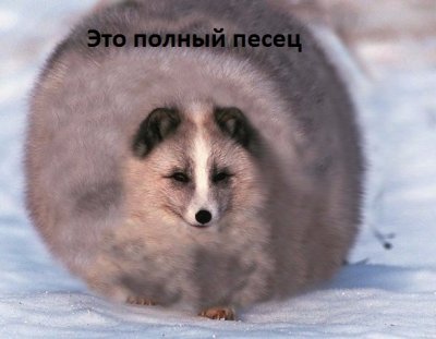 1images_9879.thumb.jpg.9b2ca6fb9896bb20ed153d40a66bd41e.jpg