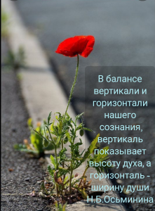 12.thumb.png.0e955244364b2558f40764adca466596.png