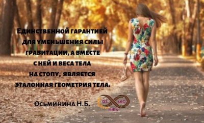 Единственной гарантией для уменьшения силы гравитации, а вместе с ними и веса тела на стопу, является эталонная геометрия тела. (2).jpg