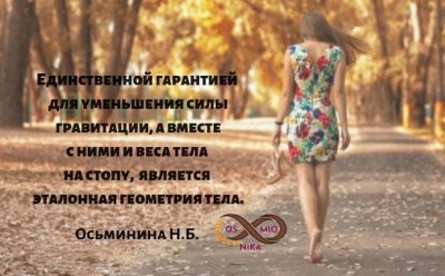 3.thumb.jpg.2239b450aaff6a15410de9640dd6bd00.jpg