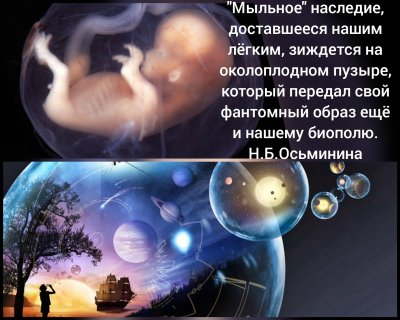 CollageMaker_20181112_043329344.jpg