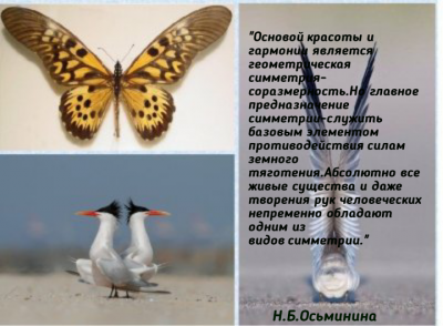 IMG_20181125_231355_.jpg