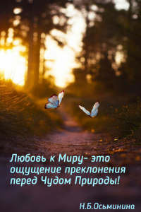 IMG_20181221_234741_.jpg