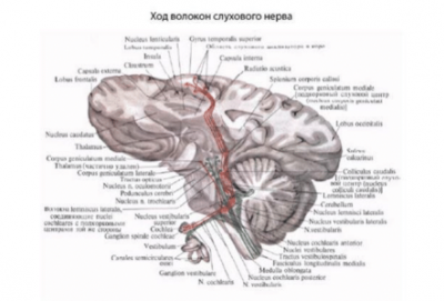 image.thumb.png.2b14fe86b7742c42ba19e481da550df6.png