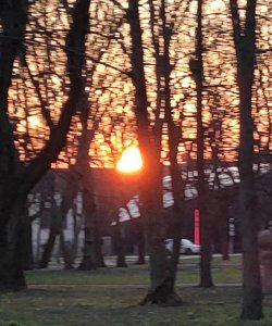 183943_BURST100.thumb.jpg.db163e6a46b53d81835d790c1b2eb1ee.jpg