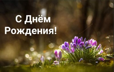 ToG1WkneuEg.thumb.jpg.39916ace81f90664a11dce9db3931013.jpg