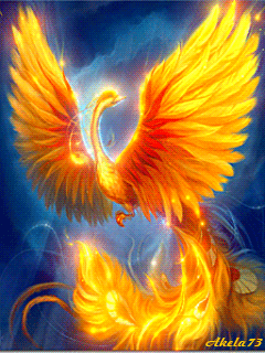 5phoenix_ydqd2xzo.thumb.gif.48d1457bfcd5e4f9f8a42bb7d4ab9ade.gif