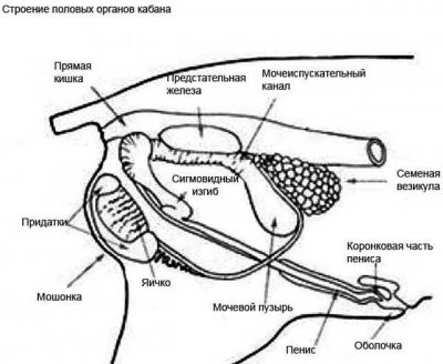 01-34.thumb.jpg.bd1eb4d9a4992b8855c0e92acce833a7.jpg