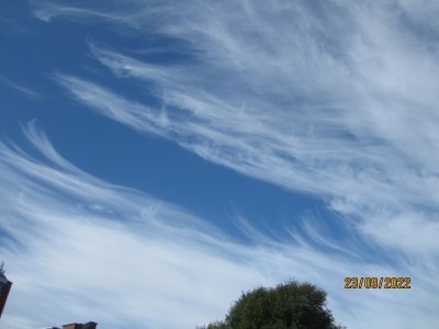 5790.thumb.JPG.f82e232961a9c7e16e358fde6bfe29bb.JPG