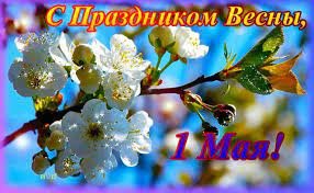8ownload.jpeg.7dbee43bb117953c6d3de7bbbfee118a.jpeg