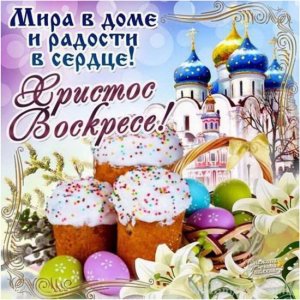 20200417Pasha2.thumb.jpg.fc0b82f896894f461d724c5cb26328fd.jpg