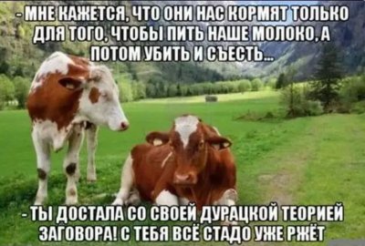 7.thumb.JPG.b849950e9fb2f5fbe9fbd804475cafd2.JPG