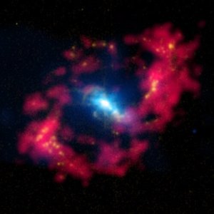 5NGC_4151.thumb.jpg.3eef5287719f5ecbcf74f888c97ab1b1.jpg